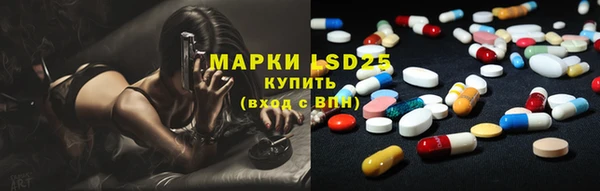 spice Новозыбков