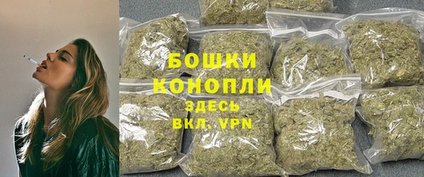 spice Новозыбков