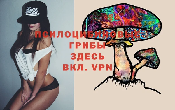 spice Новозыбков