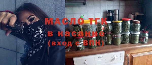 индика Верхний Тагил