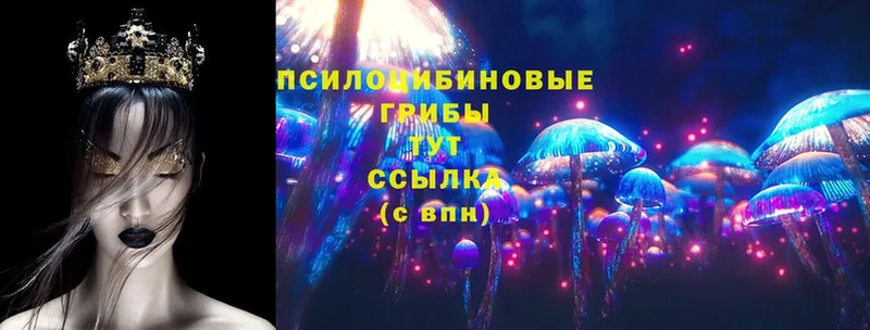 Галлюциногенные грибы Magic Shrooms  Беломорск 